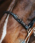 Pasek do wędzidła hackamore Fager Richard 