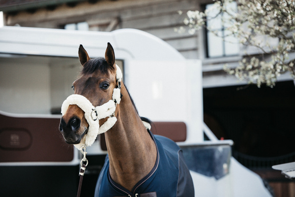 Derka siatkowo-osuszająca Kentucky Horsewear Mesh Combo Cooler Sheet
