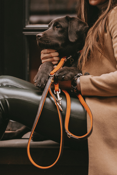 Smycz dla psa Kentucky Dogwear Plaited Nylon - 200 cm