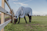 Derka siatkowa przeciw owadom z kapturem dla koni z egzemą Kentucky Horsewear Eczema Rug