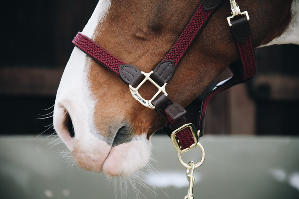 Kantar dla konia Kentucky Horsewear Plaited Nylon