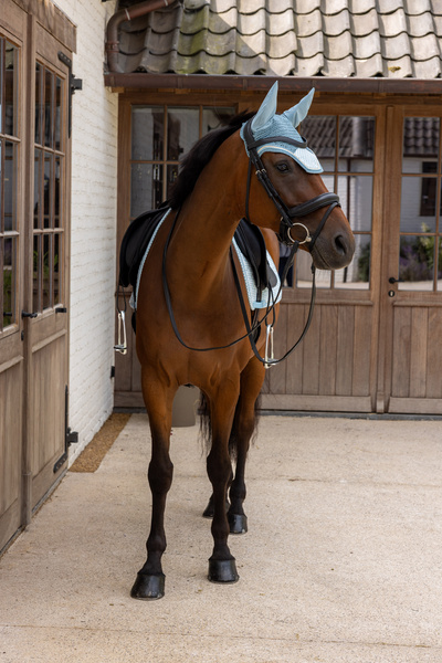 Nauszniki klasyczne Kentucky Horsewear Velvet Printing
