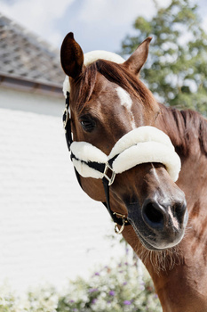 Kantar podszyty futrem Kentucky Horsewear Nylon Sheepskin Soft