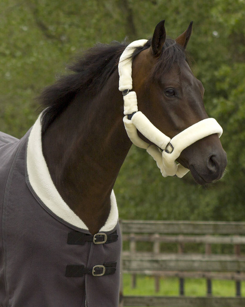 Kantar z futrem QHP Alaska