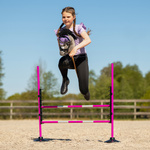 Przeszkoda dla Hobby Horse QHP