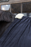 Derka siatkowa przeciw owadom Kentucky Horsewear Light Striped Mesh Fly Sheet
