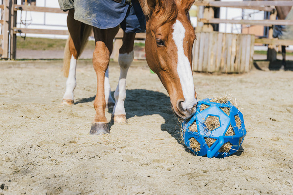 Piłka na siano dla konia Kentucky Horsewear Relax Horse Play & Hay Ball