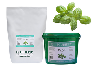Bazylia EQUIHERBS