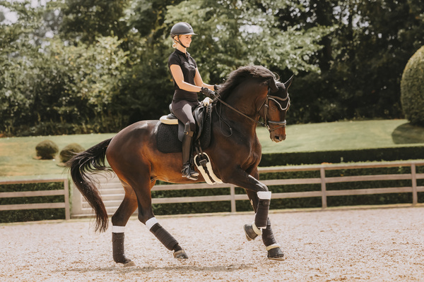 Popręg ujeżdżeniowy z futrem syntetycznym Kentucky Horsewear Sheepskin Short Girth