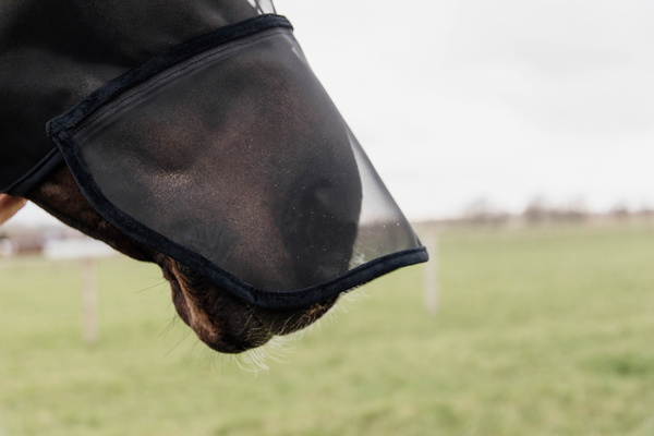 Maska przeciw owadom z uszami i ochroną nosa Kentucky Horsewear Classic