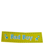 Kantar źrebięcy Premiere Fun