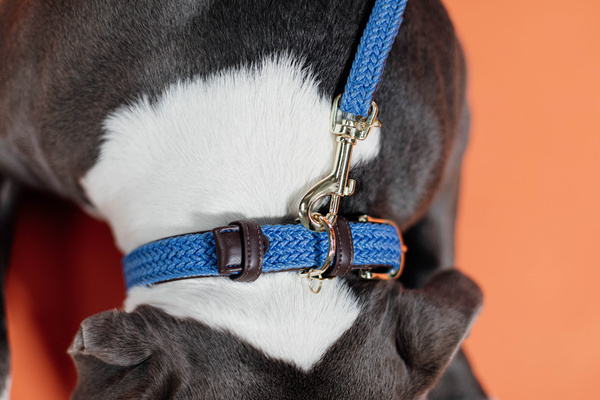 Obroża dla psa Kentucky Dogwear Plaited Nylon