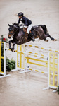 Ochraniacze tylne Veredus Pro Jump Active