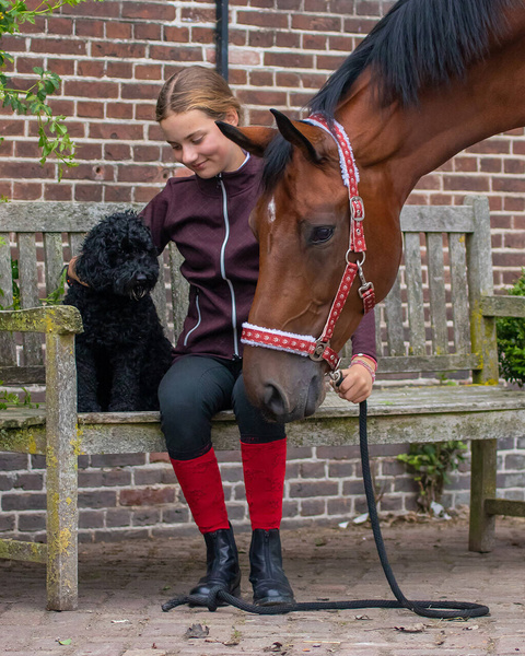 Podkolanówki jeździeckie QHP Christmas