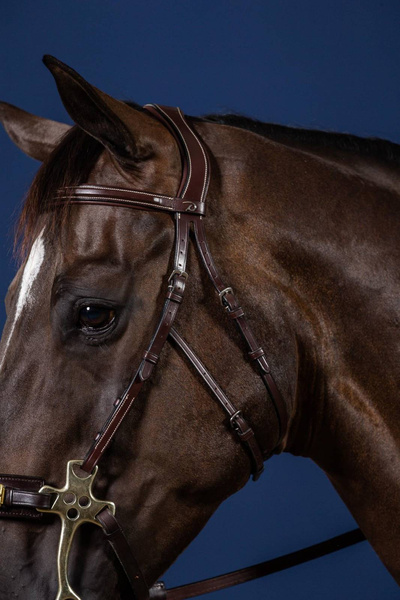 Ogłowie do Hackamore Dy'on US Collection USFADX