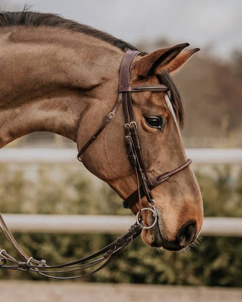 Paski policzkowe do cyganki Fager