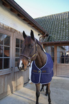 Derka osuszająca Kentucky Horsewear 3D Spacer Cooler Sheet