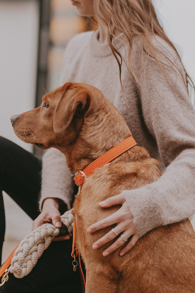 Obroża dla psa Kentucky Dogwear Plaited Nylon