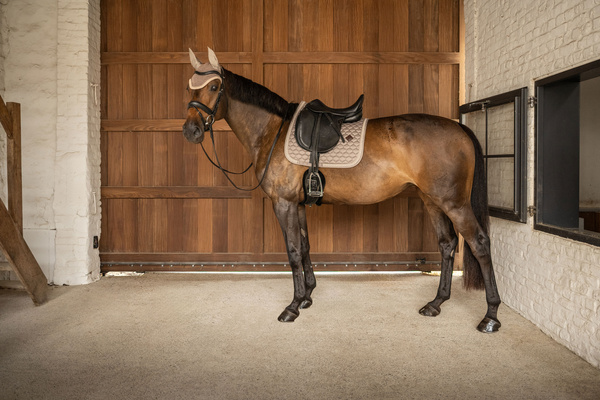 Nauszniki wyciszające Kentucky Horsewear Wellington Plaited Glitter Rope