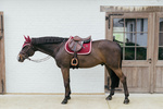 Czaprak wszechstronny Kentucky Horsewear Plaited Cord