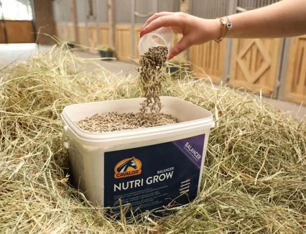 Suplement mineralno-witaminowy dla źrebiąt, młodych koni i klaczy hodowlanych Cavalor Nutri Grow