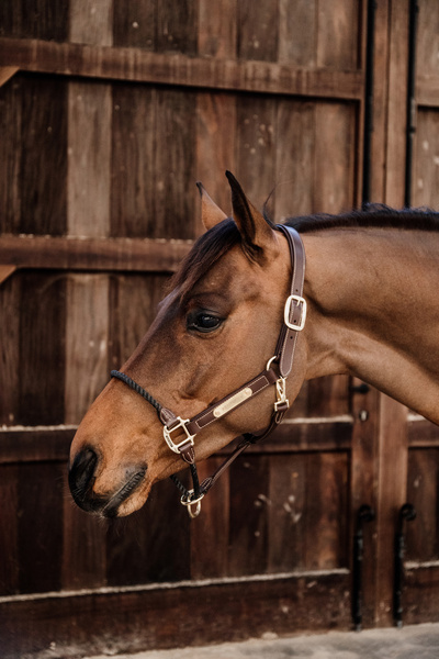 Kantar z nachrapnikiem sznurkowym Kentucky Horsewear Leather Rope