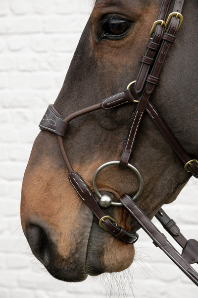 Ogłowie z nachrapnikiem przelotowym Dy'on D Collection DYABA6