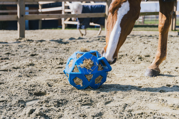 Piłka na siano dla konia Kentucky Horsewear Relax Horse Play & Hay Ball