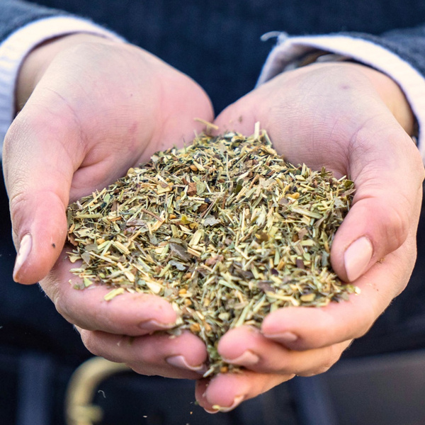 Mieszanka ziołowa na metabolizm węglowodanów Stiefel