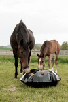 Torba na siano do boksu i na padok Grooming Deluxe Play & Haybag Slow Feeder Round 