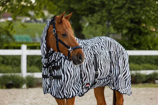 Derka siatkowa przeciw owadom z kapturem i osłoną brzucha START Zebra