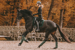 Czaprak ujeżdżeniowy Kentucky Horsewear Velvet Pearls