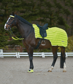 Derka treningowa Waldhausen Reflex