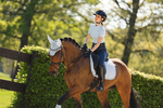 Koszulka polo z krótkim rękawem ANKY® Essential 