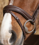 Ogłowie z nachrapnikiem kombinowanym Norton Pro Brilliant