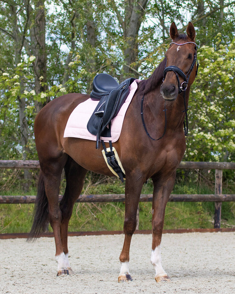 Pad ujeżdżeniowy QHP Super Grip