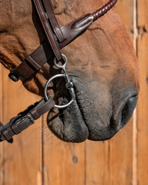 Baucher FAGER Julia Sweet Iron - podwójnie łamany