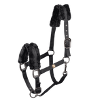 Kantar Waldhausen Modern Rose