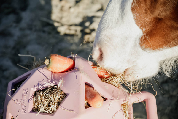 Piłka na siano dla konia Kentucky Horsewear Relax Horse Play & Hay Ball