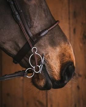 Paski policzkowe do cyganki Fager