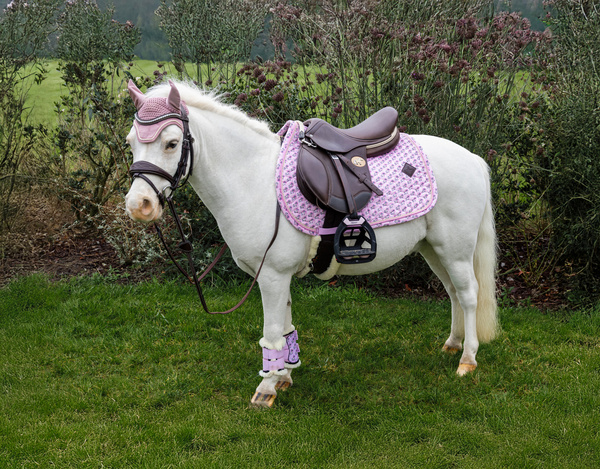 Czaprak wszechstronny Kentucky Horsewear Sammy Collection