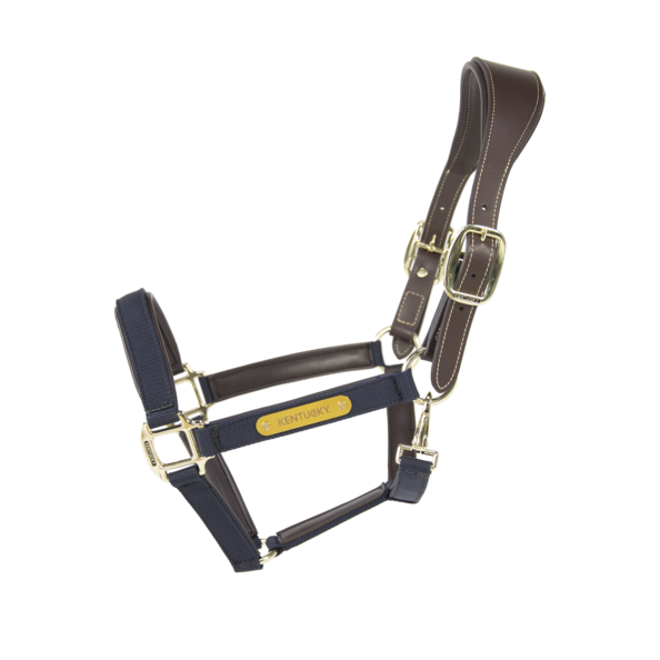 Kantar anatomiczny Kentucky Horsewear Anatomic Nylon