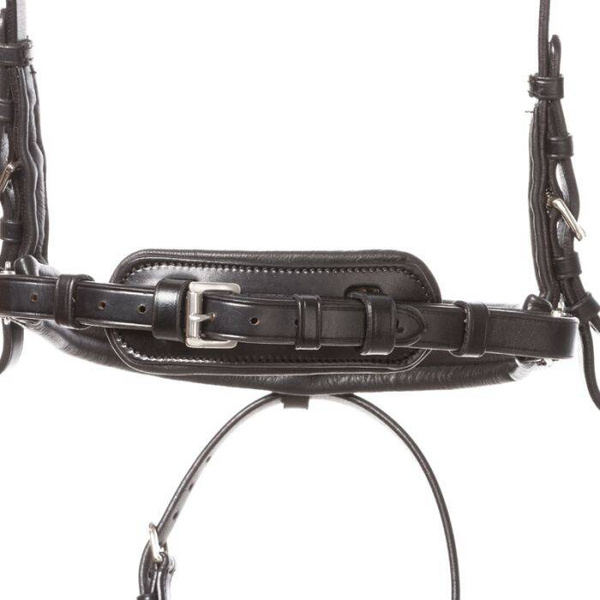 Ogłowie z nachrapnikiem szwedzkim Kavalkade Ayana