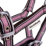 Kantar dla źrebaka Kavalkade