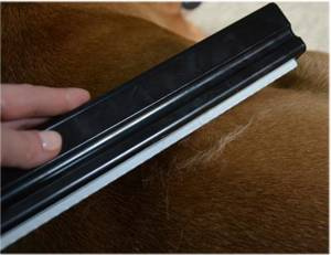 Szczotka zbierająca sierść START Fine