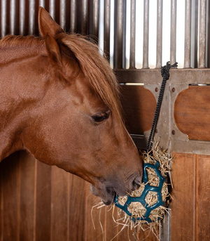 Kula na siano Waldhausen Hay Ball
