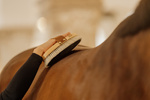 Szczotka do nabłyszczania sierści konia z naturalnego włosia końskiego Kentucky Horsewear Overall Brush Body Shine