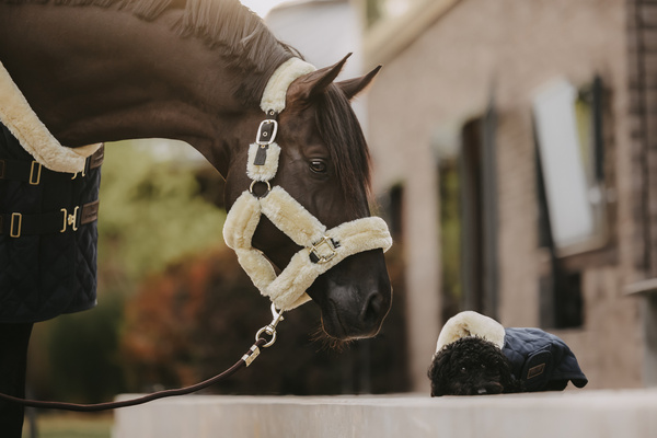 Kantar obszyty w całości syntetycznym futrem Kentucky Horsewear Sheepskin Shipping