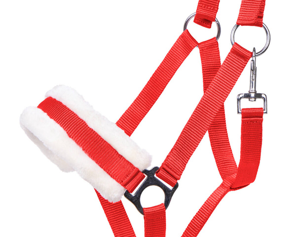 Kantar z futerkiem QHP Cali