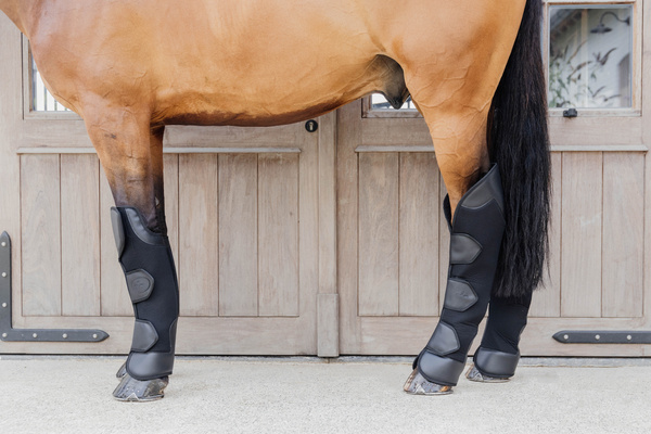 Ochraniacze transportowe na tylne nogi Kentucky Horsewear 3D Spacer Travel Boots Hind